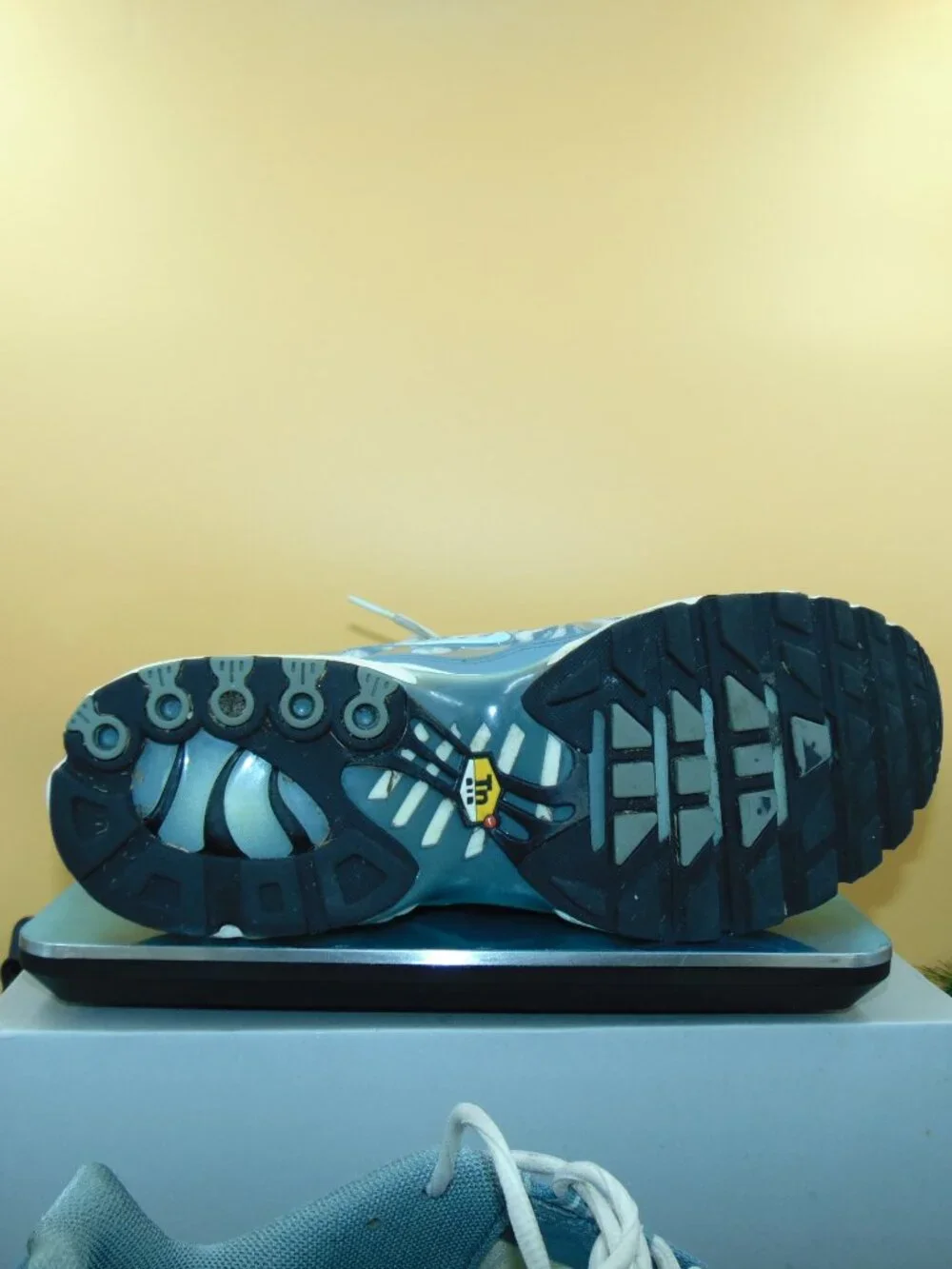 Size 12 - Nike Air Max Plus Palm Pack - Waterway